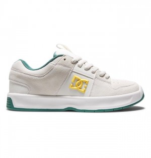 Basket DC Shoes Lynx Zero Skate Homme Grise Clair | EXJV-75861