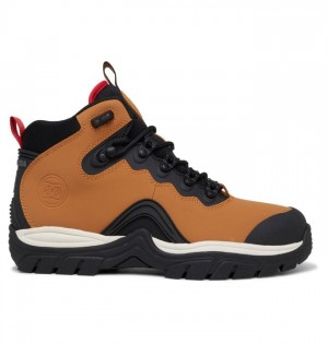 Botte Hiver DC Shoes Navigator Lace Winter Boots Homme Marron Noir | NKPH-20149