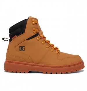 Botte Hiver DC Shoes Peary Lace Winter Boots Homme Marron Noir | EKXV-42978
