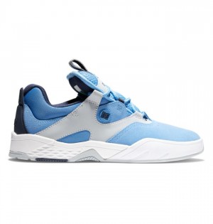 Chaussure Skate DC Shoes Kalis Homme Rouge Bleu | OEVN-81053