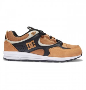 Chaussure Skate DC Shoes Kalis Lite Skate Homme Marron Noir Blanche | YHLG-26173