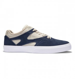 Chaussure Skate DC Shoes Kalis Vulc Homme Bleu Marine Kaki | JDIQ-93102