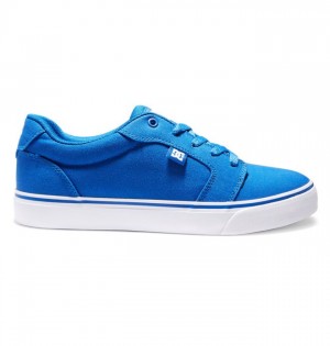 Essentials DC Shoes Anvil Canvas Homme Bleu Blanche | IOBN-83714