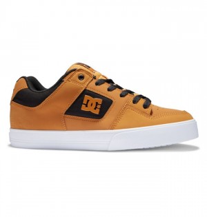 Essentials DC Shoes Pure Homme Noir | CHRV-62013