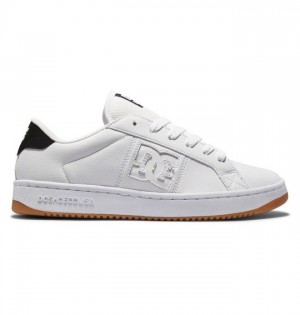 Essentials DC Shoes Striker Homme Blanche Noir | DFQK-92507