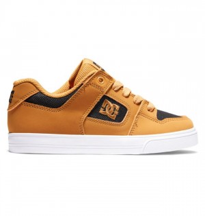 Pure DC Shoes Pure Enfant Marron Noir | VZFQ-70124