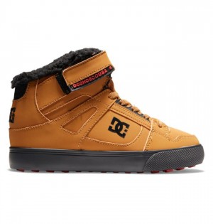 Pure DC Shoes Pure Winterized Enfant Marron Noir | AJWT-46857